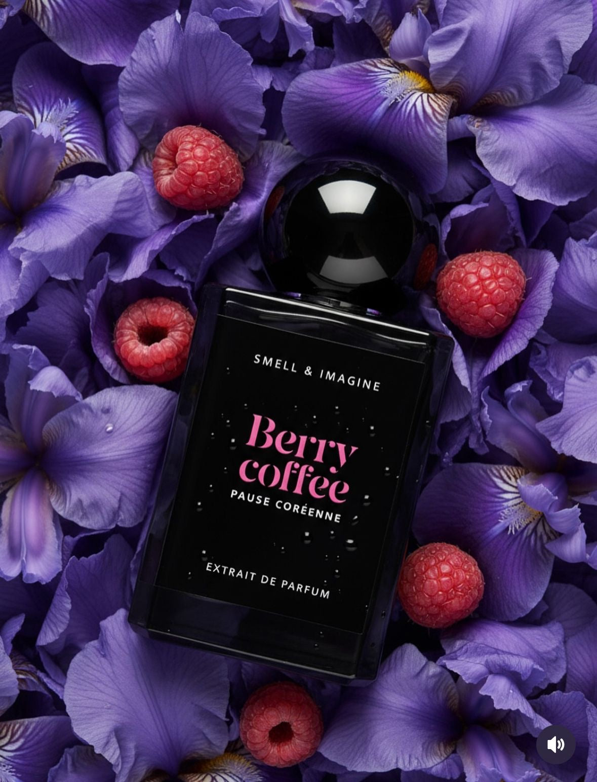 Berry coffee - Pause coréenne