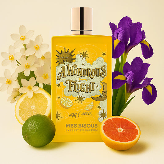A wondrous flight - Mes bisous