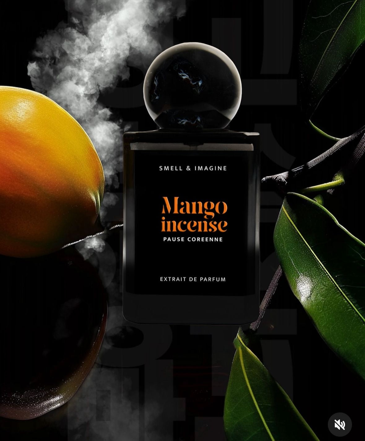 Mango incense - Pause coréenne